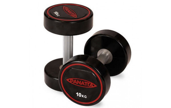 Уретановая гантель 45 кг Panatta 1RD45 600_380