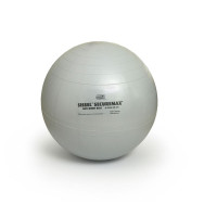 Гимнастический мяч 75см SISSEL Securemax Exercice Ball 160.014