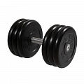 Гантель Профи с вращающейся ручкой, 31 кг MB Barbell MB-FdbM-B31 120_120